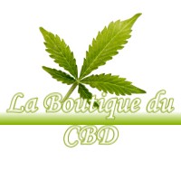 LA BOUTIQUE DU CBD BOURBON-LANCY 